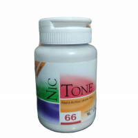 Nictone 90gr 66 Autocurable