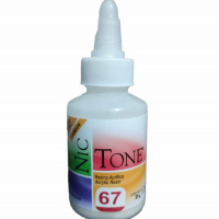 Nictone 35gr 67 Autocurable