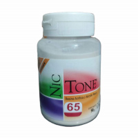 Nictone 90gr 65 Autocurable