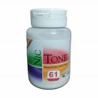 Nictone 90gr 61 Autocurable 